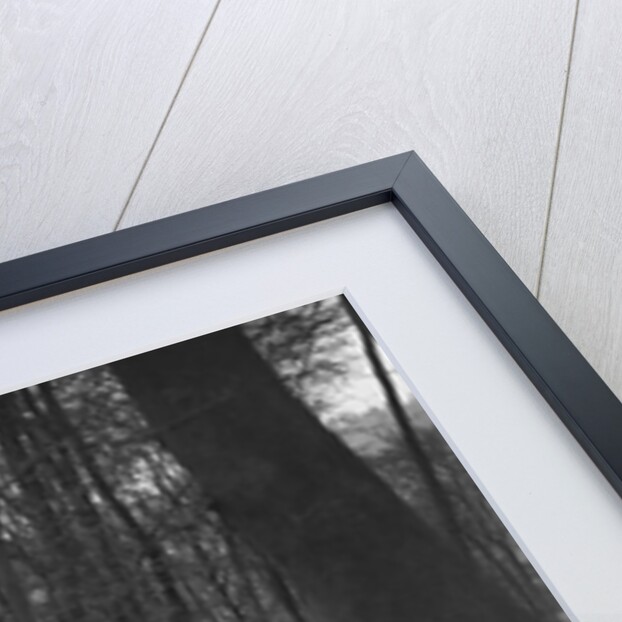 Alvis 12/50 at the Standard Car Owners Club Southern Counties Trial, Hale Wood, Chilterns, 1938 by Bill Brunell