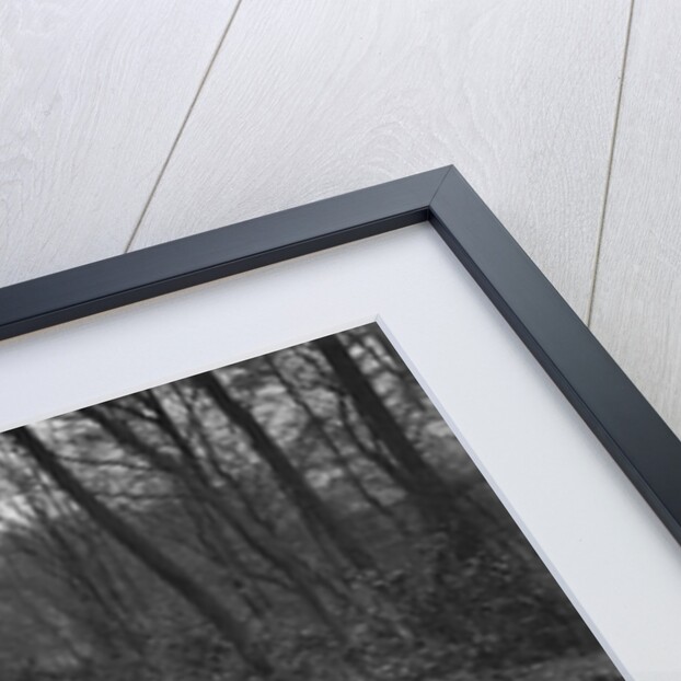 Standard Twelve competing in the Standard Car Owners Club Southern Counties Trial, 1938 by Bill Brunell