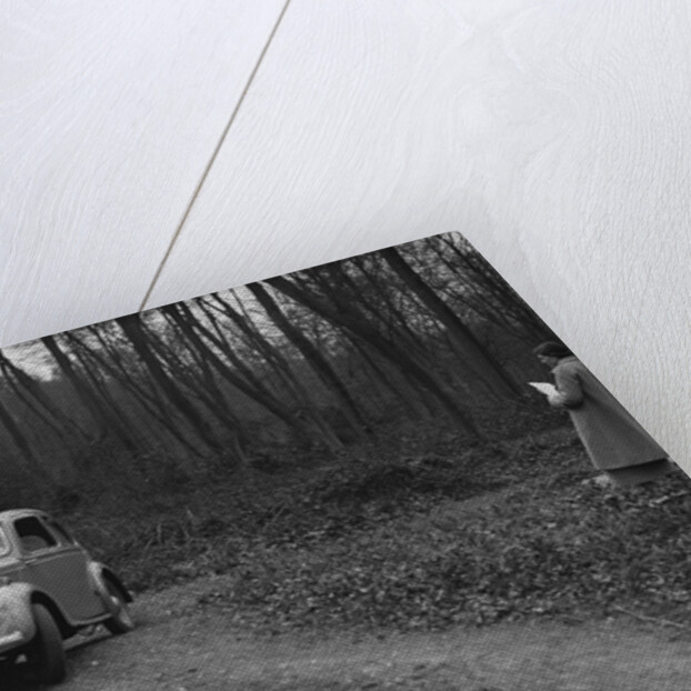 Standard Nine of J Buckman at the Standard Car Owners Club Southern Counties Trial, 1938 by Bill Brunell