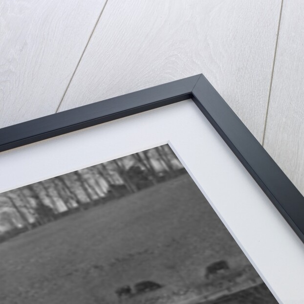 Morris of F Marshall at the Ilkley & District Motor Club Trial, near Harrogate, Yorkshire, 1930s by Bill Brunell