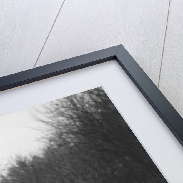 Triumph Gloria Southern Cross competing in the Great West Motor Club Thatcher Trophy, 1938 by Bill Brunell