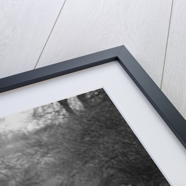 Standard Nine saloon of Mrs M Vaughan competing in the Sunbac Colmore Trial, Gloucestershire, 1933 by Bill Brunell