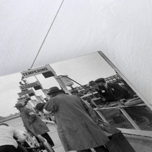 Temperino of JS Wood in the pits at the JCC 200 Mile Race, Brooklands, Surrey, 1921 by Bill Brunell