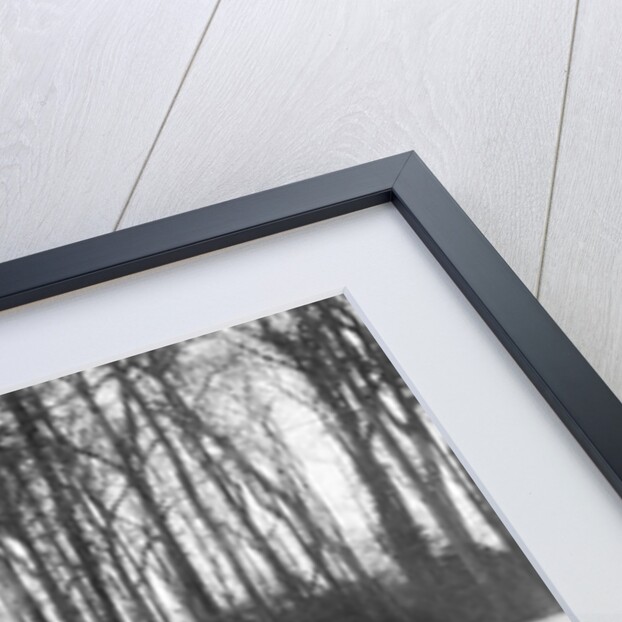 Frazer-Nash of PF Jucker leading J Eason-Gibson's Riley Brooklands, Donington Park, 1933 by Bill Brunell