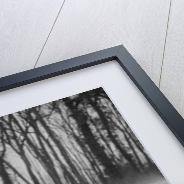 Ron Horton's MG Magnette K3 at Coppice Corner, Donington Park, Leicestershire, 1933 by Bill Brunell