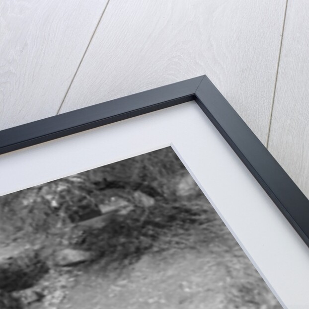 Kitty Brunell driving a 1930 2-seater Ford Model A, 1931. by Bill Brunell