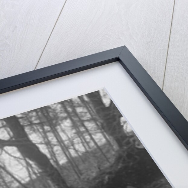 Kitty Brunell driving a 1930 2-seater Ford Model A, 1931. by Bill Brunell