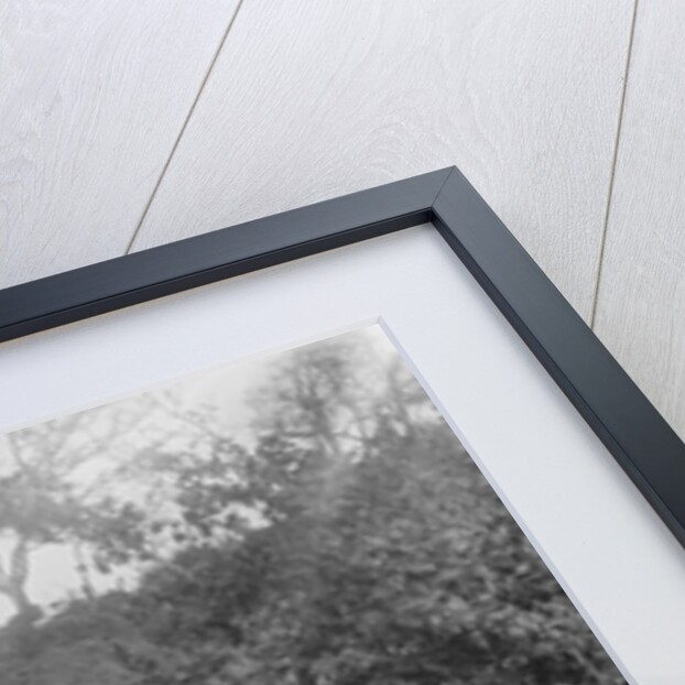 Kitty Brunell driving a 1930 2-seater Ford Model A, 1931. by Bill Brunell