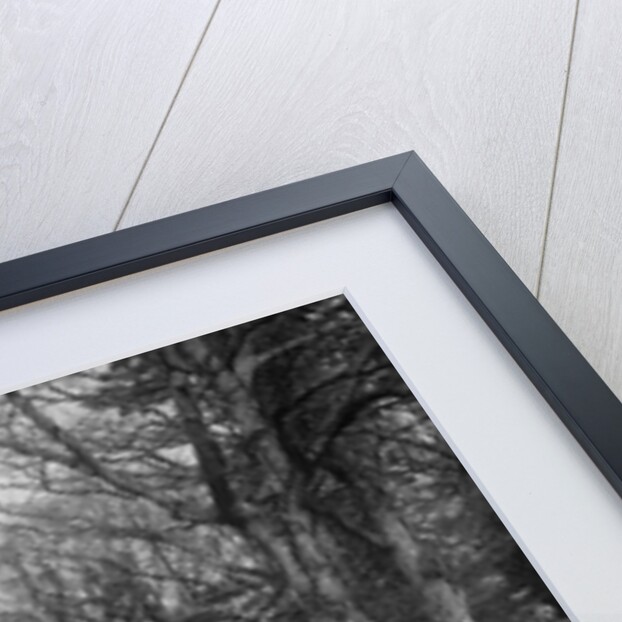 1930 Armstrong-Siddeley, 1931. by Bill Brunell