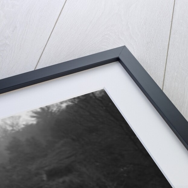 1930 Armstrong-Siddeley, 1931. by Bill Brunell