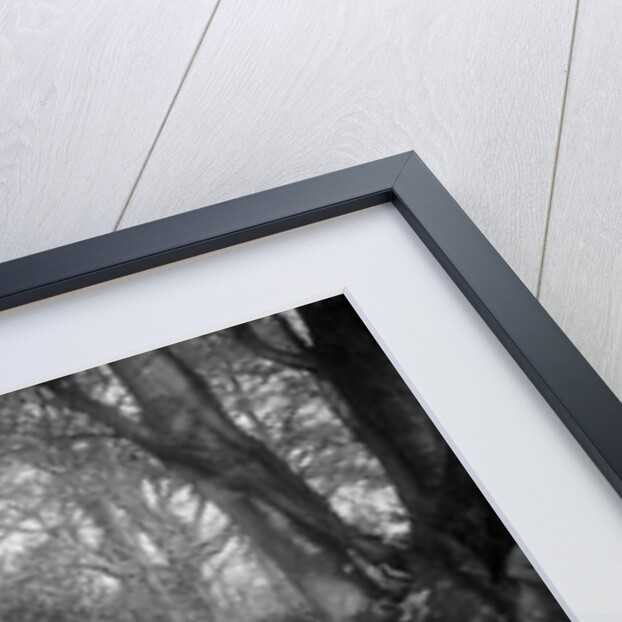 Kitty Brunell in a Talbot 75 4-door saloon, c1930. by Bill Brunell