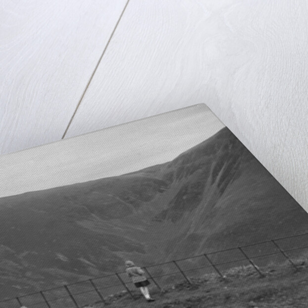 Morris Bullnose by Bill Brunell