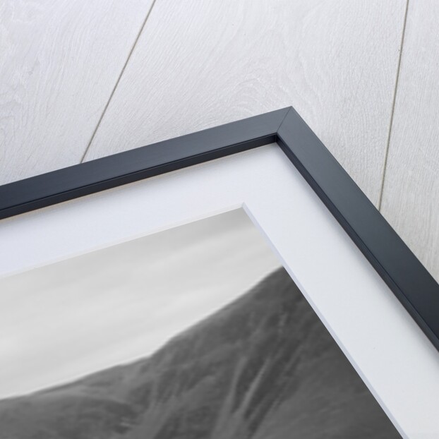 Morris Bullnose by Bill Brunell