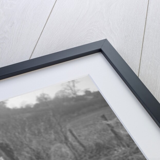 MG 18/80 of D Munro competing in the MG Car Club Trial, Kimble Lane, Chilterns, 1931 by Bill Brunell