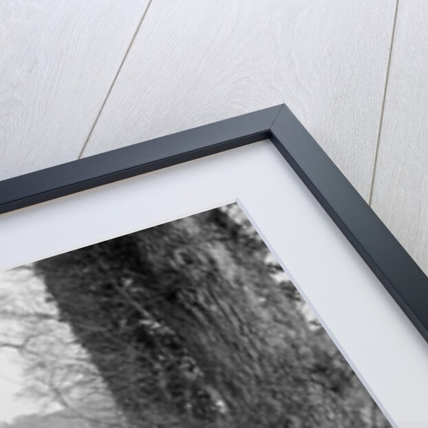 MG M Type and MG 18/80 competing in the MG Car Club Trial, 1931 by Bill Brunell