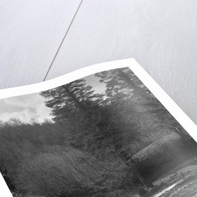 Kitty Brunell road testing a Riley 9 WD tourer, c1930 by Bill Brunell