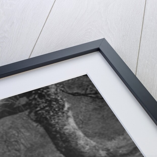 Kitty Brunell road testing a Riley 9 WD tourer, c1930 by Bill Brunell