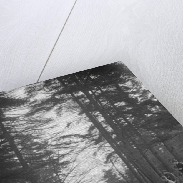 Lea-Francis Hyper 2-seater competing in the JCC Half-Day Trial, Hurtwood Hill, Surrey, 1930 by Bill Brunell