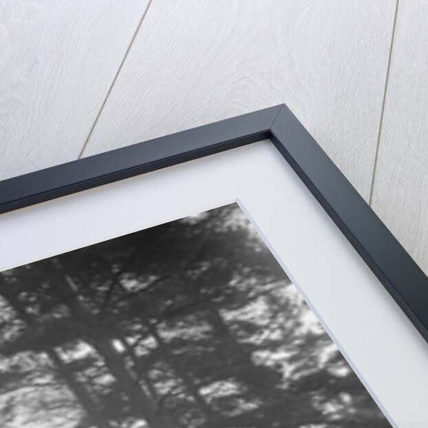 Lea-Francis Hyper 2-seater competing in the JCC Half-Day Trial, Hurtwood Hill, Surrey, 1930 by Bill Brunell