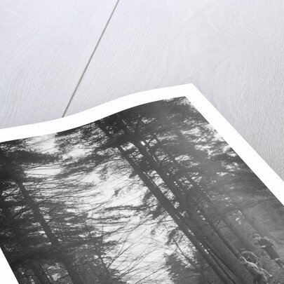 Lea-Francis Hyper 2-seater competing in the JCC Half-Day Trial, Hurtwood Hill, Surrey, 1930 by Bill Brunell