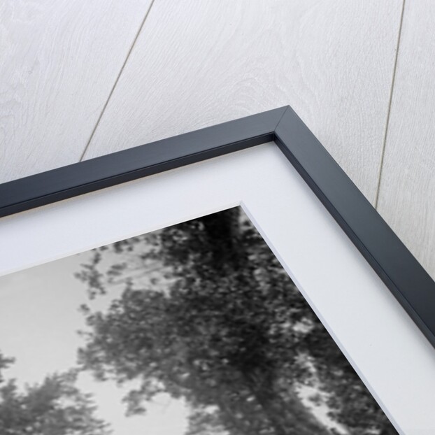 Bucciali of Jean de Maleplane competing at the Boulogne Motor Week, France, 1928 by Bill Brunell