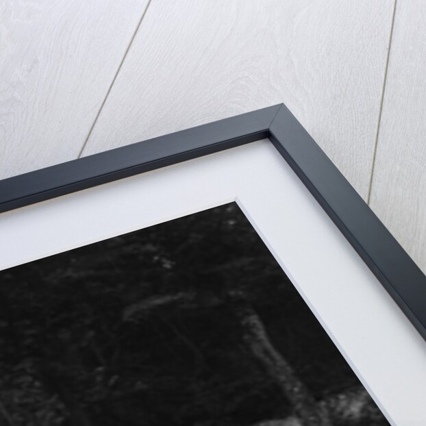 Mercedes-Benz SS of Baron Wentzel-Mosau, Boulogne Motor Week, east of La Capelle, France, 1928 by Bill Brunell