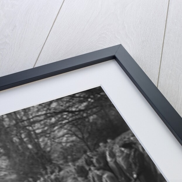 OM open 4-seat tourer, Bugatti Owners Club Trial, Nailsworth Ladder, Gloucestershire, 1932 by Bill Brunell