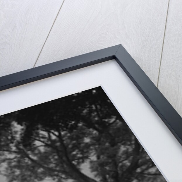 Rolls-Royce Sedanca Deville of JB Bainbridge, RSAC Scottish Rally, 1933 by Bill Brunell