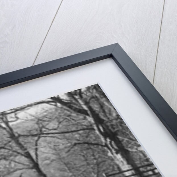 MG TA of FW Ellis competing in the RAC Rally, 1939 by Bill Brunell