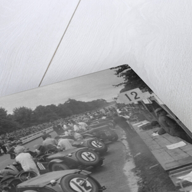 Cars before the start of the Irish Grand Prix, Phoenix Park, Dublin, 1930 by Bill Brunell