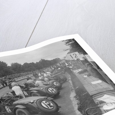 Cars before the start of the Irish Grand Prix, Phoenix Park, Dublin, 1930 by Bill Brunell