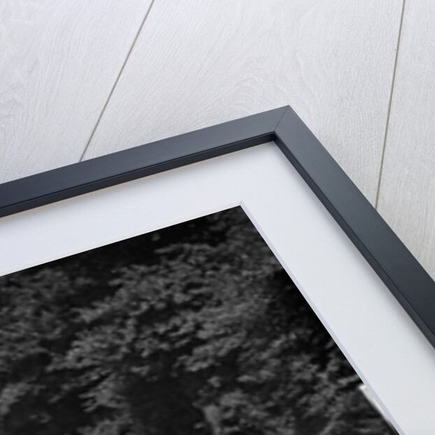 Ford Model 10 racing special of J Eason-Gibson competing in the VSCC Croydon Speed Trials, 1937 by Bill Brunell