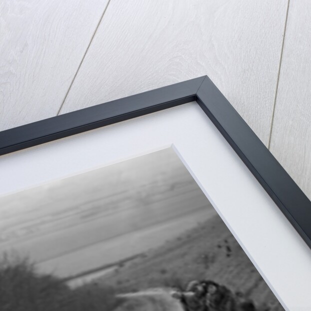 MG J2 competing in a trial, Crowell Hill, Chinnor, Oxfordshire, 1930s by Bill Brunell