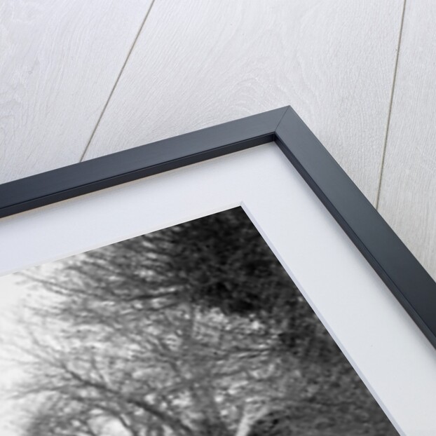 Calcott open tourer, Wantage, Oxfordshire, c1920s by Bill Brunell