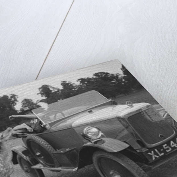 Woman in a BSA car feeding a deer in Richmond Park, Surrey, c1920s by Bill Brunell