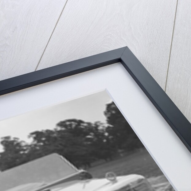 Woman in a BSA car feeding a deer in Richmond Park, Surrey, c1920s by Bill Brunell