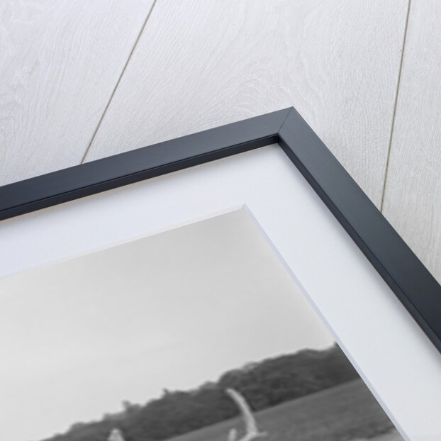 Woman in a BSA car feeding a deer in Richmond Park, Surrey, c1920s by Bill Brunell