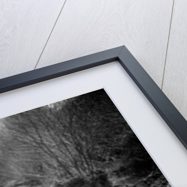 Kitty Brunell road testing a Riley 9 tourer, c1930 by Bill Brunell