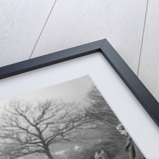Unidentified motorcycle at an early motoring trial, pre 1914. by Bill Brunell