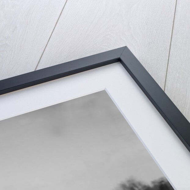 Sunbeam and sidecar of JD Gardiner at the Inter-Varsity Speed Trial, Eynsham, Oxfordshire, 1932 by Bill Brunell