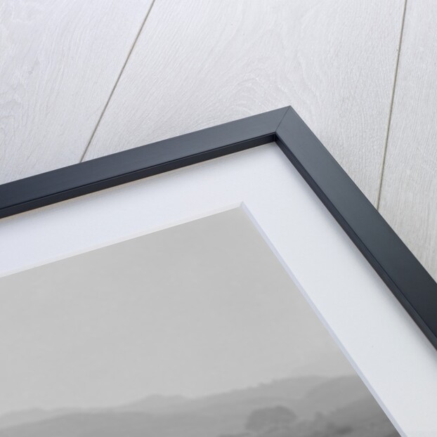 493 cc Triumphs of L Crisp and KP Jones competing in E&DMC Scottish 6 Days Trial, 1933. by Bill Brunell