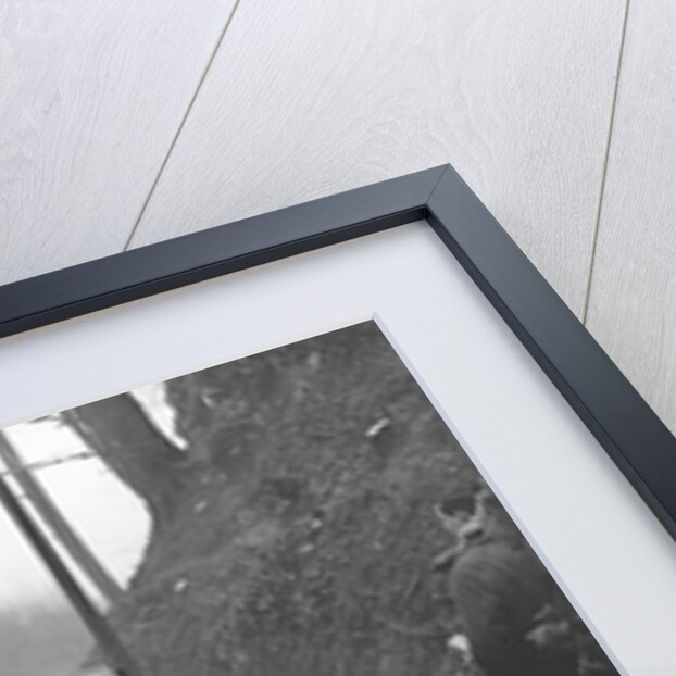 OM open 4-seater of PD Walker competing in the MCC Exeter Trial, 1928 by Bill Brunell