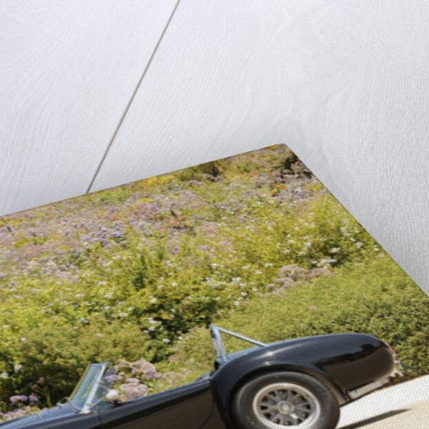 AC Cobra 427 1966 by Simon Clay