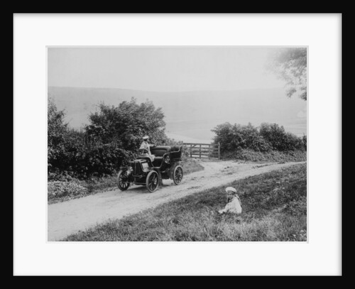 An MMC Wilmington Giant by Anonymous