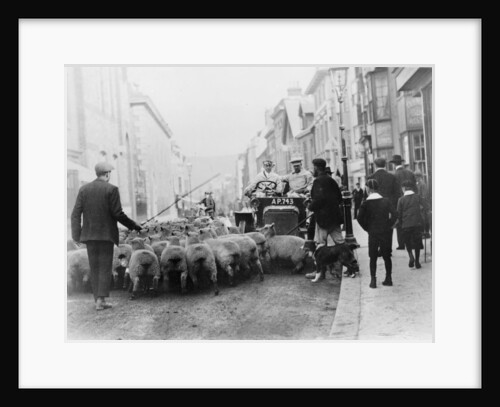 A car surrounded by sheep, Lewes High Street, East Sussex by Unknown