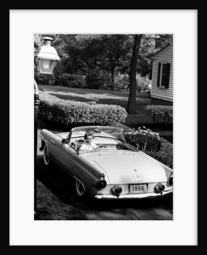Ford Thunderbird, 1955 by Unknown