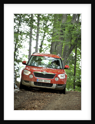 Skoda Yeti 2009 by Simon Clay