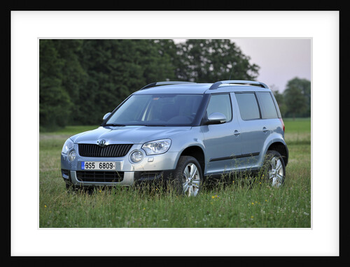 Skoda Yeti 2009 by Simon Clay