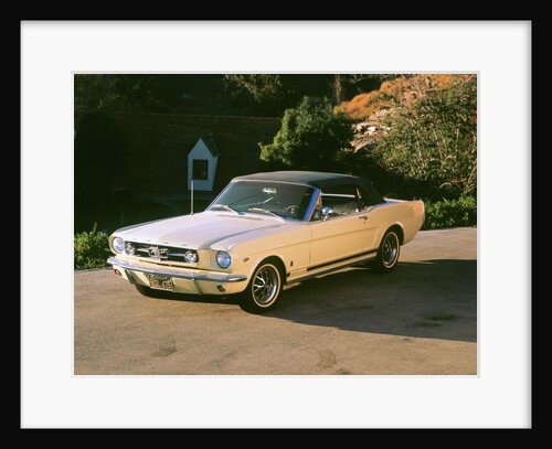 1965 Ford Mustang by Unknown