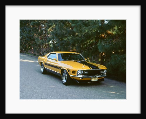 1970 Ford Mustang Twister by Unknown